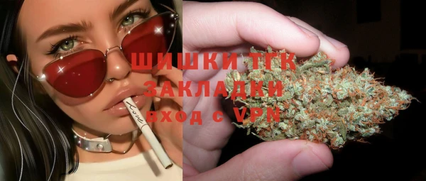 гидра Магас