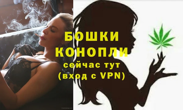 эйфоретик Майский