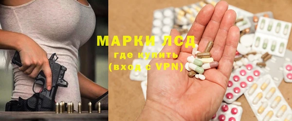 стаф Магадан