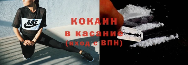 гидра Магас