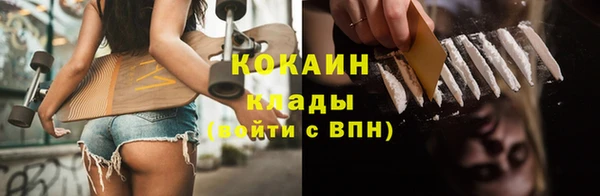гидра Магас