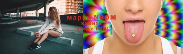 гашик Медногорск