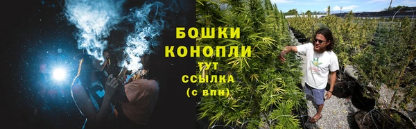 стаф Магадан