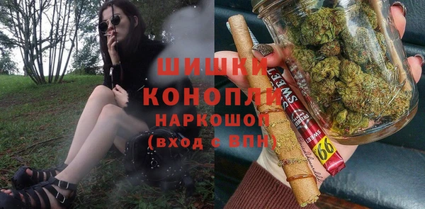 гидра Магас